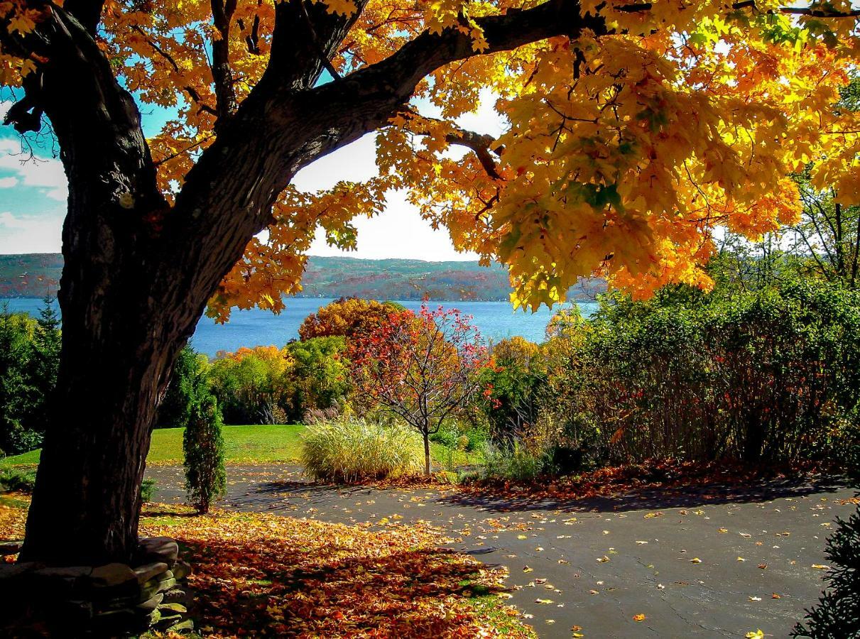 Moonshadow B&B Hammondsport Exterior photo